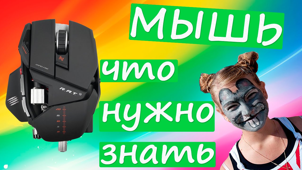Компьютерная мышь - что нужно знать