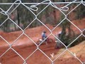 II QUADCROSS \"CIUDAD DE VALVERDE\"