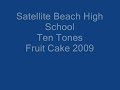 Fruit Cake 2009 by Satellite Beach Ten Tones