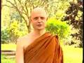 Ajahn Jayasaro - why does the mind tend to overlook rashness as precipitating factor?