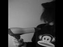 Alice , la nouvelle �g�rie.