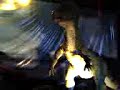 dinos