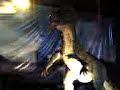 dinos
