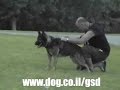 PROTECTION TRAINING INSTRUCTOR AMNON BEN IZHAK ????? ????? PROTECTION TRAINING INSTRUCTOR AMNON BEN IZHAK ????? ?????