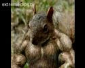 Hilarious but scary pictures