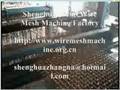Crimped wire mesh machine
