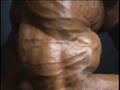 Bodybuilder Armon Adibi vascular posing