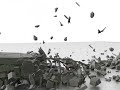 tsns-demo-reel-march-2008.html