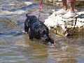 Thor-Croazia 2008