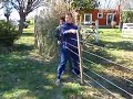 Simio Vago en La Rabona
