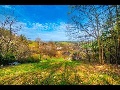 Video Prodej stavebního pozemku 1611 m2 a lesa 673 m2