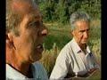 goi� � o apelido do apresentador, cantor e compositor gerson coutinho da silva (1935-1981). ele nasceu em 11 de janeiro de 1935, em coromandel-mg.a paix�o por coromandel inspirou a letra de uma m�sica que � considera um hino do povo brasileiro 