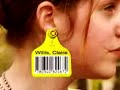 Jordan Maxwell - uniform commercial code Jordan Maxwell - uniform commercial code