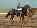 la mexicana y el emergente
