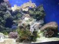 Denver Aquarium Sept 27