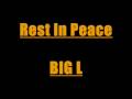 Back In My Hood - BIG L & PARTY ARTY