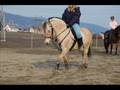 videos de Eventyrponnien Miranda :-)