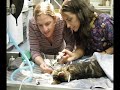 Merrimack Veterinary Hospital