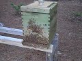 I uploaded a YouTube video -- Untitled http://youtu.be/O7ZrH8fdxew?a