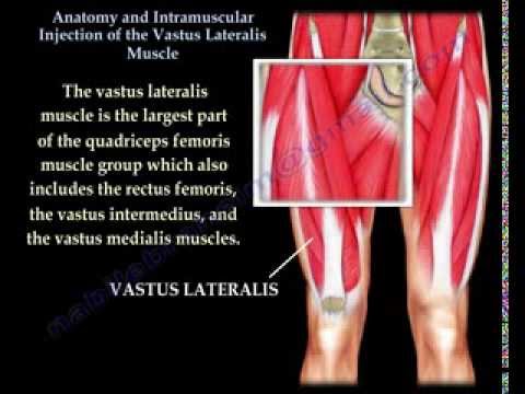 how to locate vastus lateralis for im injection
