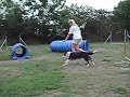 Valp-agility Valp-agility