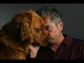 Cesar Millan Lets the Dog\