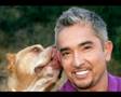 Cesar Millan Lets the Dog's Out - Tribute Video