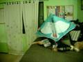 videos de Hawking