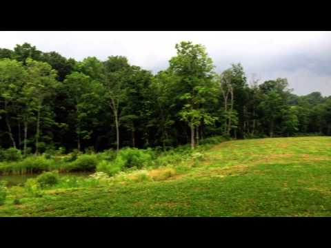 how to obtain plot plan