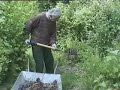 Gardening - Forest gardening