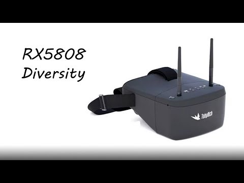 ev800d - diversity box goggles