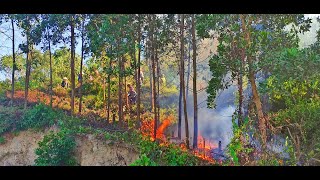Phường Vàng Danh diễn tập phòng cháy chữa cháy rừng năm 2019