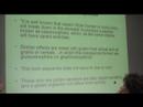 Babies From Stressed Out Mothers Suffer Adrenal Dysfunction