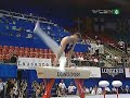 Krisztian Berkki Retains Pommel Horse Title Krisztian Berkki Retains Pommel Horse Title