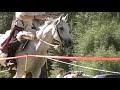 Mounted Archery Demo