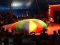 Circus Picolini en Bazzini