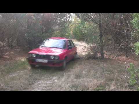 bmw 316