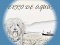 perro de agua español-Descenso del río Sella con amigos.