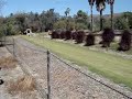 Cheetah Run