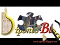 III^ Esposizione canina regionale a Manfredonia
