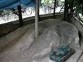 videos de Leopard 2A6 RC in my garden - 5
