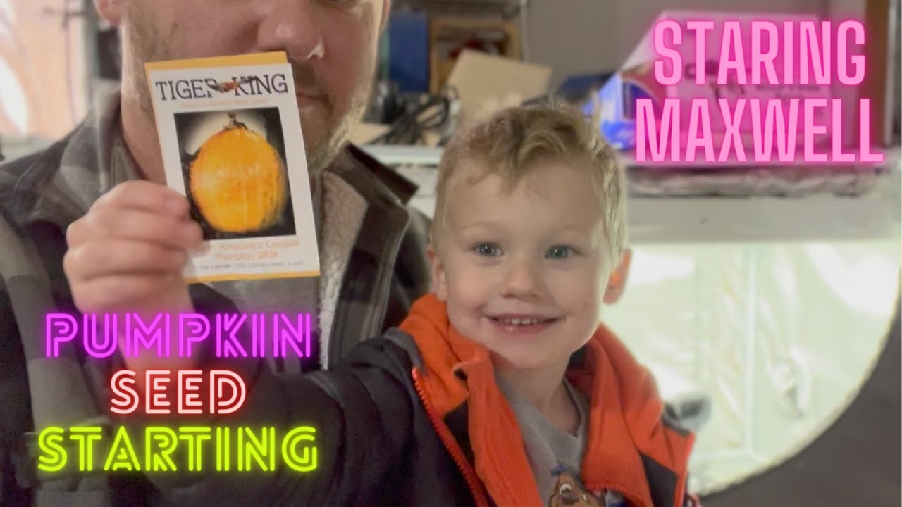 How to start a GIANT Pumpkin seed.