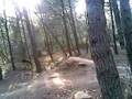 vtt freeride