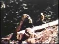 Zee Brothers Logging (part1)