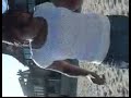 ariel ariel