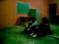 videos de Patadon