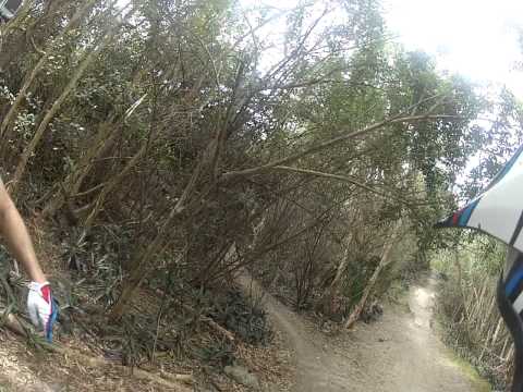 Markham Park florida MTB