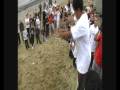 videos de Velocity Bails, Fails and Fun