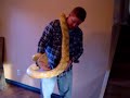 Purple Reticulated Python Growth Rate