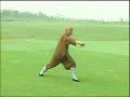 shaolin  pao chui